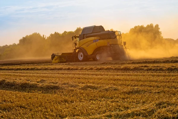 Big Combine Harvester Threshing Sunset — Stock Photo, Image