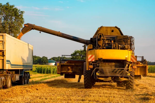 Big Combine Harvester Threshing Sunny Day — Stock Photo, Image