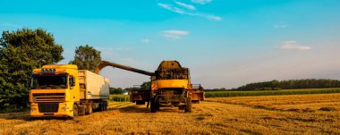 büyük güneşli gün harman hasat birleştirmek 