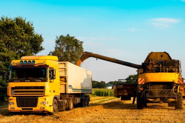 büyük gün batımı harman hasat birleştirmek.