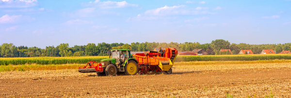 современный машинный урожай картофеля осенью
