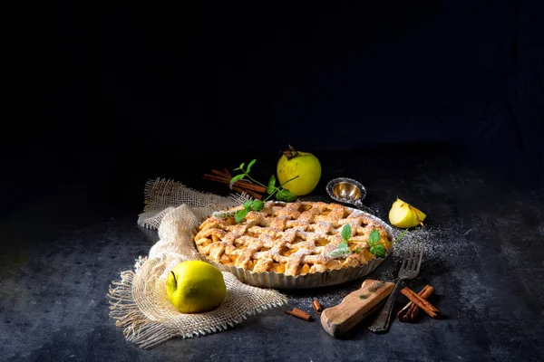 Chutné Jablečný Koláč Mřížkou Sepsalo Dort Pan — Stock fotografie