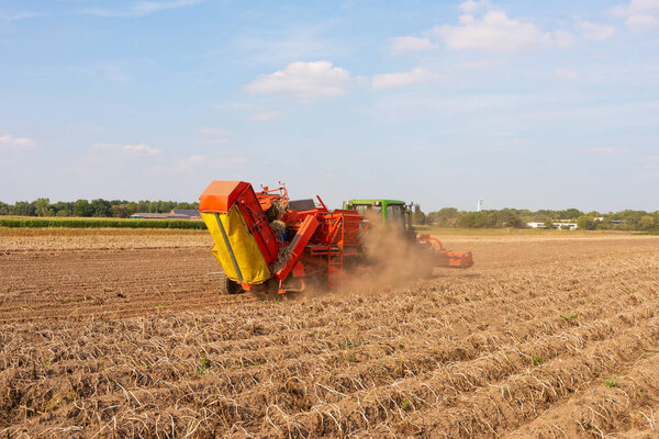 современный машинный урожай картофеля осенью
 