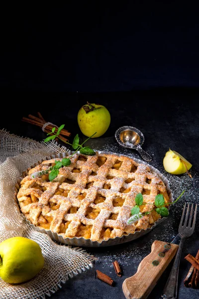 Chutné Jablečný Koláč Mřížkou Sepsalo Dort Pan — Stock fotografie