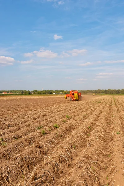 Macchina Moderna Raccolta Patate Autunno — Foto Stock