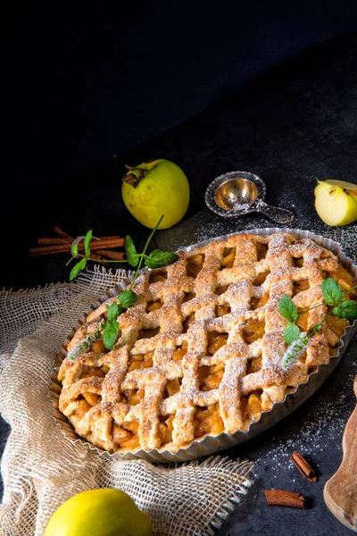 Leckerer Apfelkuchen Mit Gitteroberkruste Kuchenform — Stockfoto