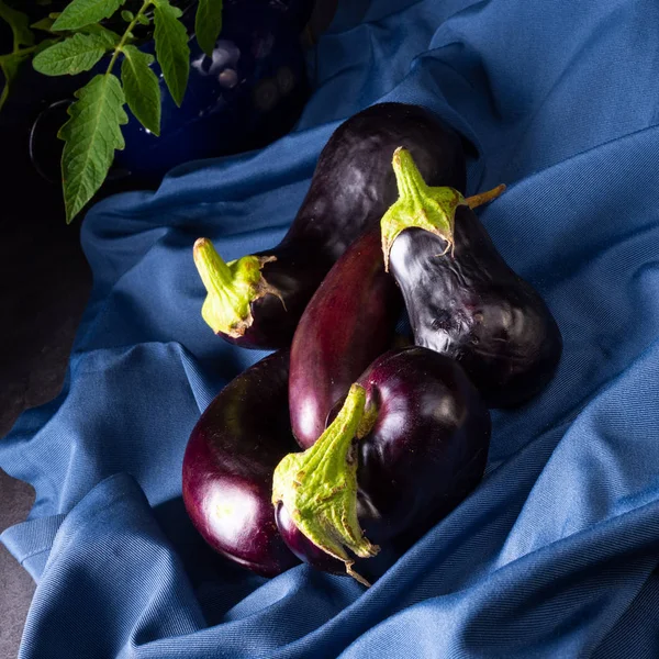 Ripe Fresh Eggplants Tablecloth Close — Stock Photo, Image