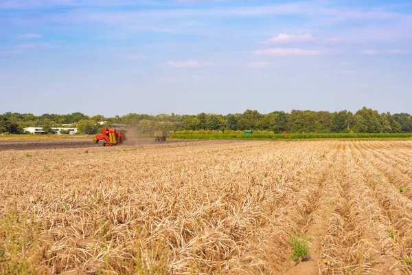 Macchina Moderna Raccolta Patate Autunno — Foto Stock