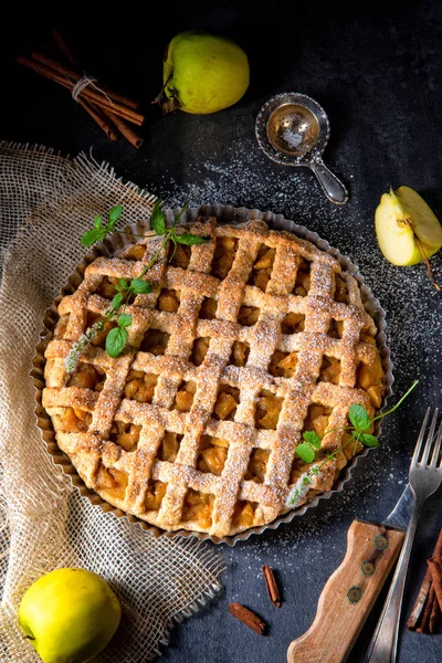 Leckerer Apfelkuchen Mit Gitteroberkruste Kuchenform — Stockfoto
