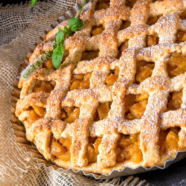 Leckerer Apfelkuchen Mit Gitteroberkruste Kuchenform — Stockfoto