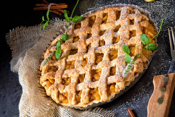 Leckerer Apfelkuchen Mit Gitteroberkruste Kuchenform — Stockfoto