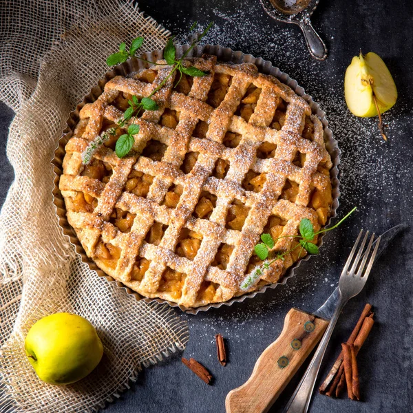 Leckerer Apfelkuchen Mit Gitteroberkruste — Stockfoto