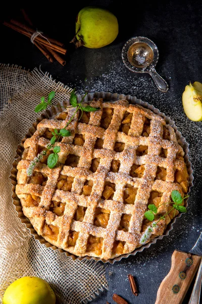 Leckerer Apfelkuchen Mit Gitteroberkruste — Stockfoto