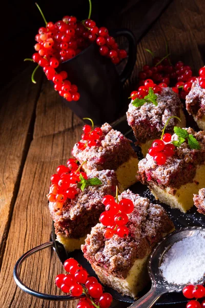 Крупный План Великолепного Сочного Шоколадного Торта Красной Смородиной — стоковое фото