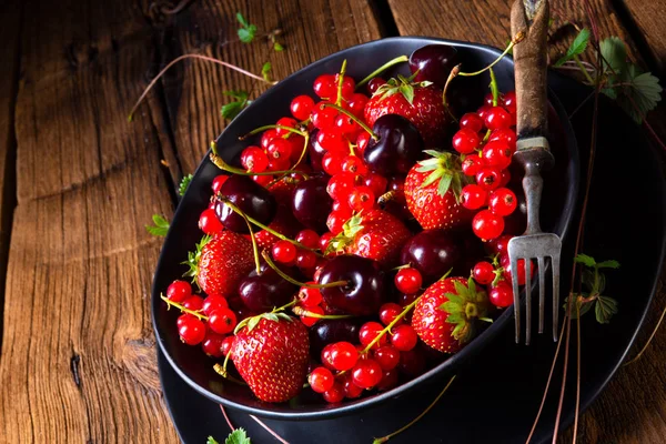 Kase çilek, frenk üzümü ve kiraz gibi farklı meyve ile görmek.