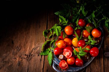 domates fesleğen ile gümüş tepside türleri bırakır