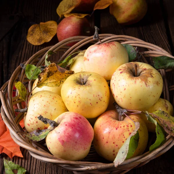 新鲜可口的成熟苹果在篮子里 — 图库照片