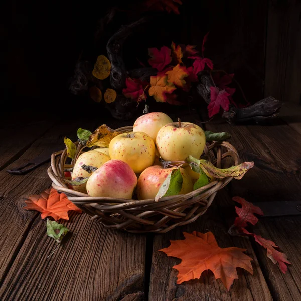 Pommes Mûres Fraîches Savoureuses Dans Panier — Photo