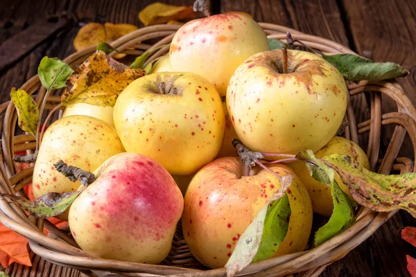 Pommes Mûres Fraîches Savoureuses Dans Panier — Photo