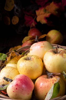 sepet içinde taze ve lezzetli olgun elma