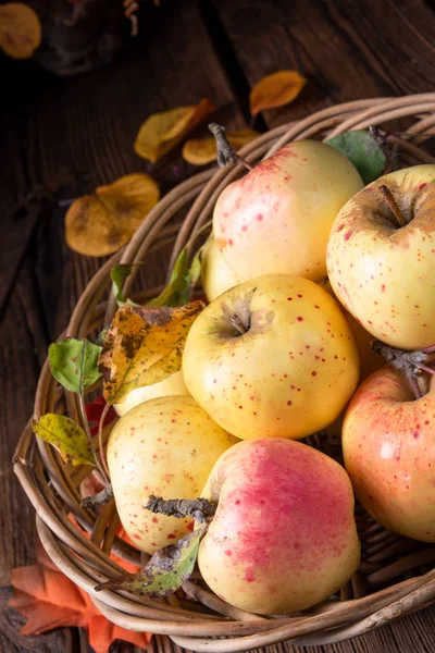 Φρέσκα Και Νόστιμα Βιολογικά Μήλα Ψάθινο Καλάθι — Φωτογραφία Αρχείου