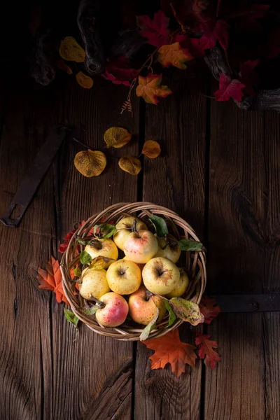 Świeże Smaczne Jabłka Ekologiczne Wiklinowym Koszu — Zdjęcie stockowe