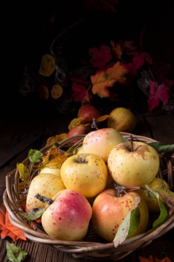 hasır sepet içinde taze ve lezzetli organik elma