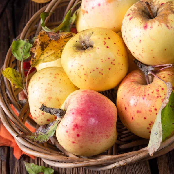 Pommes Bio Fraîches Savoureuses Dans Panier Osier — Photo