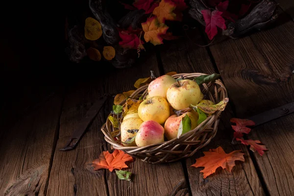 Frische Und Schmackhafte Bio Äpfel Weidenkorb — Stockfoto