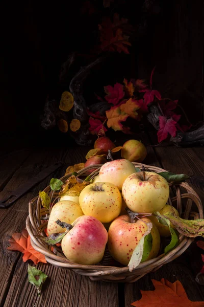 Pommes Bio Fraîches Savoureuses Dans Panier Osier — Photo