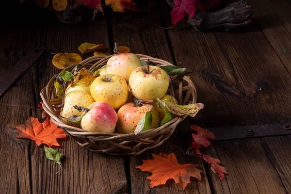 Pommes Bio Fraîches Savoureuses Dans Panier Osier — Photo