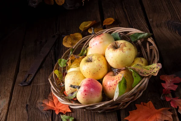 Pommes Bio Fraîches Savoureuses Dans Panier Osier — Photo