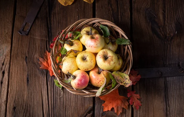 Φρέσκα Και Νόστιμα Βιολογικά Μήλα Ψάθινο Καλάθι — Φωτογραφία Αρχείου