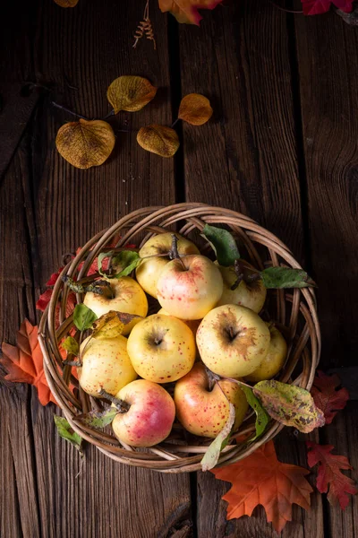 Pommes Bio Fraîches Savoureuses Dans Panier — Photo