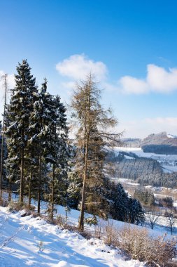 güzel ve soğuk Sauerland kışın