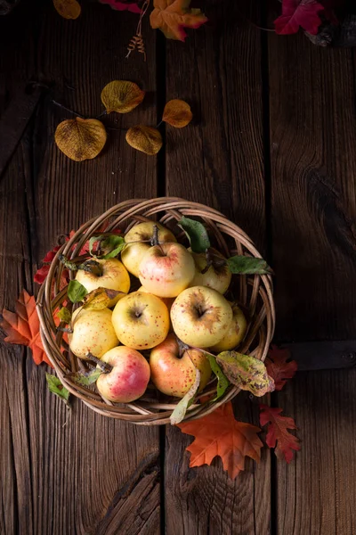 Verse Smakelijke Biologische Appels Een Mandje — Stockfoto