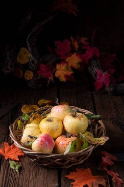 Taze ve lezzetli organik elmalar sepette