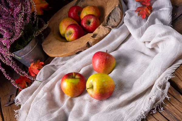 Malus Sylvestris Der Schmackhafte Europäische Krabbenapfel — Stockfoto