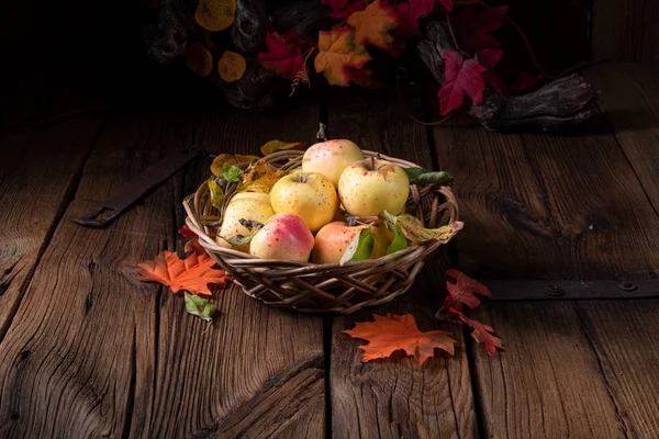 Čerstvá Chutná Organická Jablka Košíku — Stock fotografie