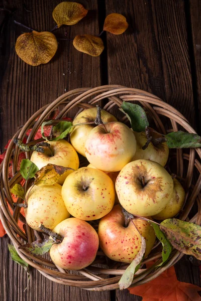 Φρέσκα Και Νόστιμα Βιολογικά Μήλα Ένα Καλάθι — Φωτογραφία Αρχείου