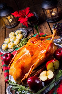 kırmızı lahana ve köfte ile şenlikli doldurulmuş kızartma kaz