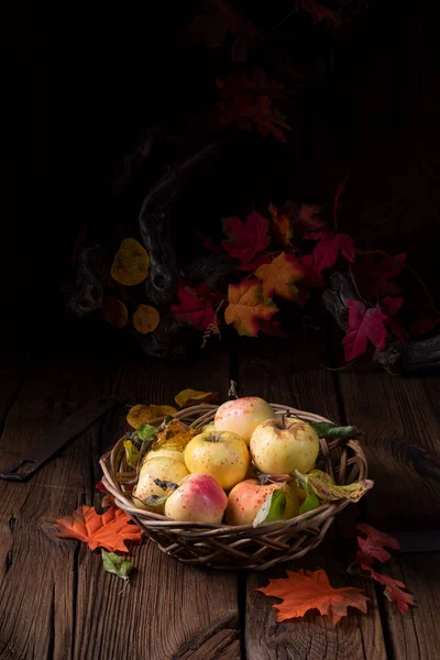 Frische Und Schmackhafte Bio Äpfel Korb — Stockfoto