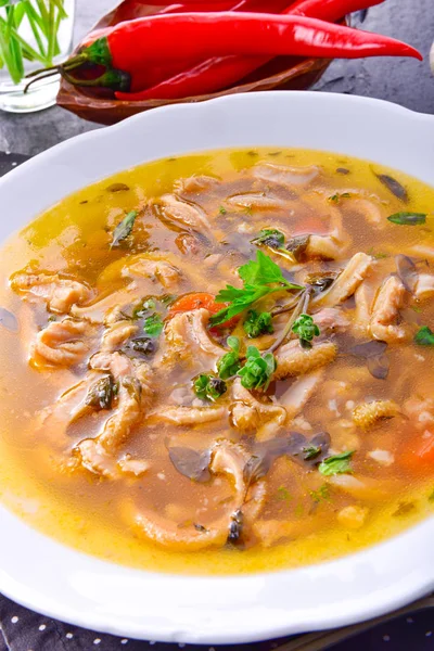 Sopa Tradicional Callos Estilo Polaco Con Carne Res Verduras — Foto de Stock