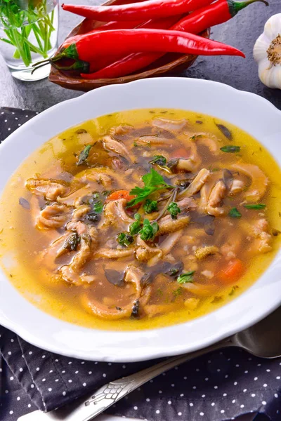 Sopa Tradicional Callos Estilo Polaco Con Carne Res Verduras — Foto de Stock