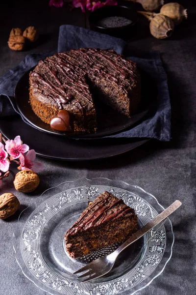 Juicy poppy seed cake with apples and chocolate glaze — Stock Photo, Image