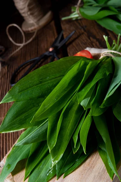 Allium ursinum свежий рамсон с большим количеством ценных витаминов — стоковое фото