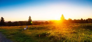 Ağaçlarla Güzellik Rothaar Dağları