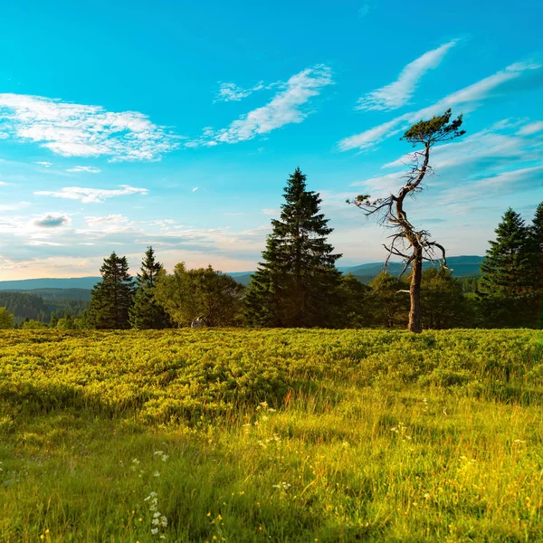 Beauty Rothaar Mountains — Stock Photo, Image