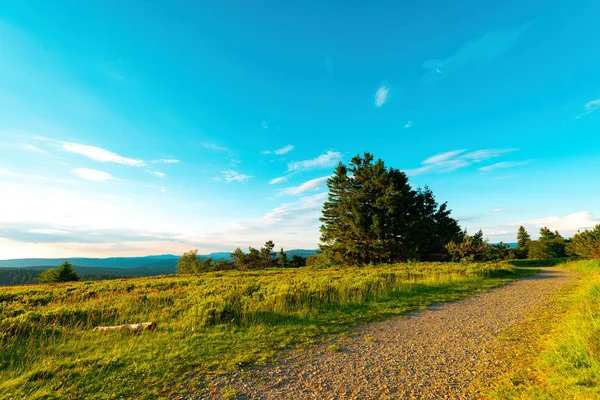 Beauty Rothaargebergte — Stockfoto