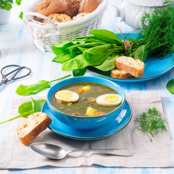 Sorrel soup with potatoes and egg — Stock Photo, Image